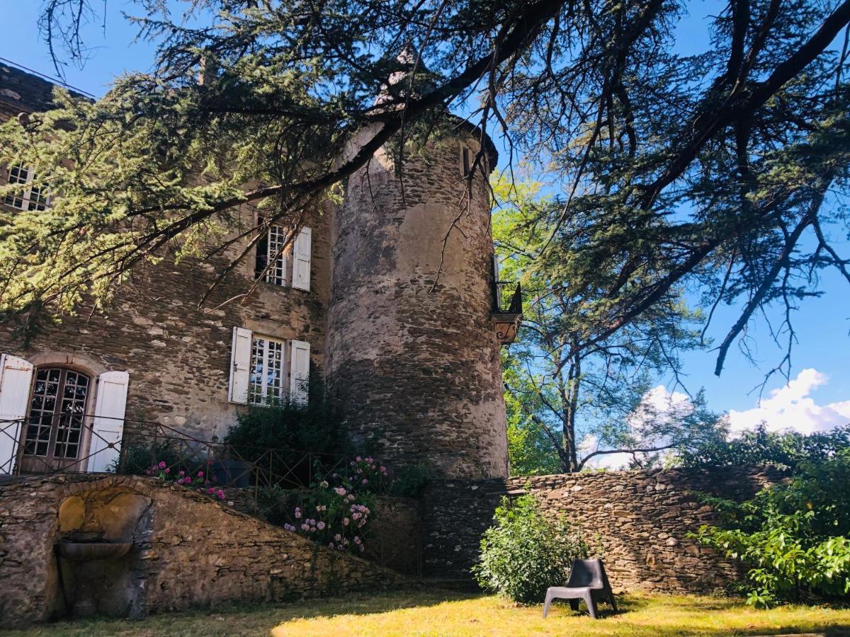 Saint-Etienne-Vallee-Francaise Le Chateau De Cambiaire المظهر الخارجي الصورة