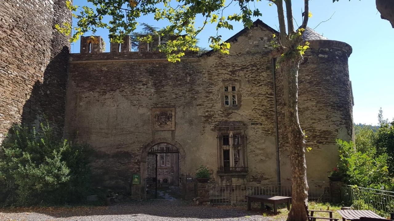 Saint-Etienne-Vallee-Francaise Le Chateau De Cambiaire المظهر الخارجي الصورة