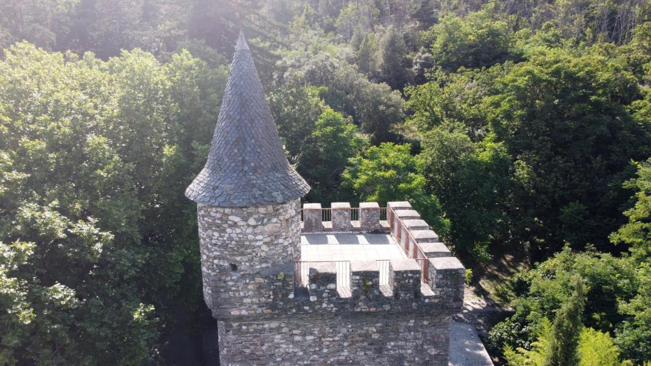 Saint-Etienne-Vallee-Francaise Le Chateau De Cambiaire المظهر الخارجي الصورة